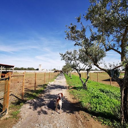 Villa Quinta Do Louredo - Évora Exterior foto